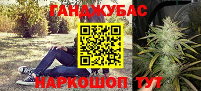 стаф Обь